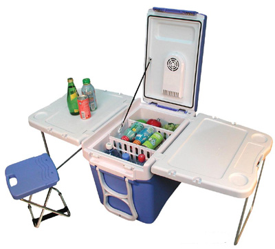 four in one multi function cooler and warmer